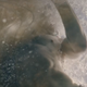 Image for article titled A Deep Dive Into This Burberry Commercial With a Horse and Adam Driver